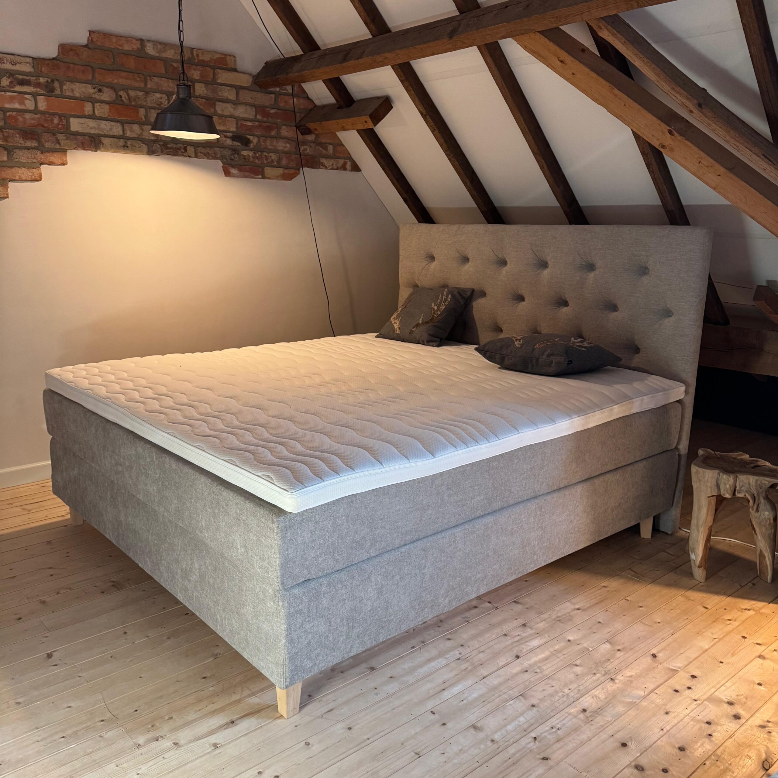 Showroommodel Nanook