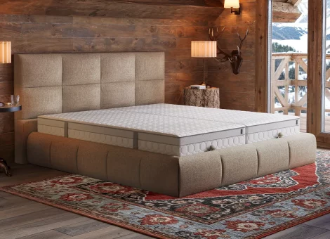 arctic_living_valkea_genesis_lion_02